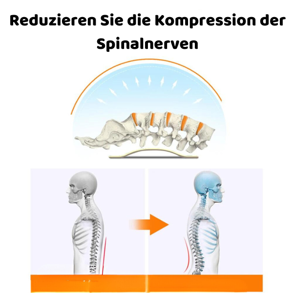 -20% Lordosenstützgürtel Lordosenstützgürtel elitesportique   